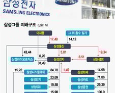 '삼성생명법'의 숨은 뜻…"삼성에 세금 5조 내라는 것"