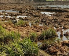[르포]"자갈밭 된 논 복구도 안됐는데"…300㎜ 물폭탄 예고에 나주들녘 긴장