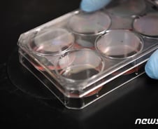 "美 백신 9월 승인 검토"…S&P·나스닥 동시 최고치 [뉴욕마감]