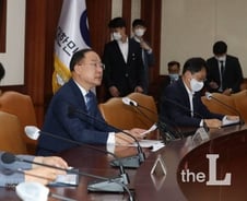 정부의 부동산정책과 세법적 한계