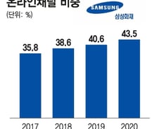 [단독]카카오 손 놓은 삼성화재, '디지털 손보사' 설립 접고 독자노선