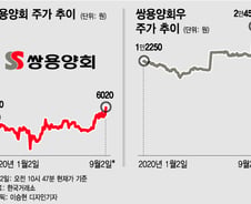 '감자'에도 주가 오르는 쌍용양회…"배당 확대 기대"