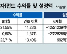 착한 투자, 돈도 잘 번다…'한국판 뉴딜'에 뜨는 ESG펀드