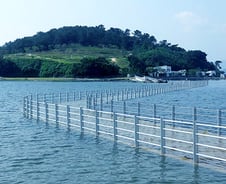 [기고]가을 맞이, 예술섬 여수 장도