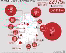 [사진] [그래픽] 코로나19 확진자 지역별 현황(20일)