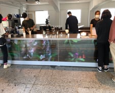 [르포]한남동 핫플, 투명 OLED로 분위기 '업'…LGD의 이색 실험 