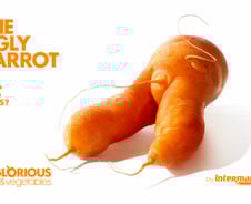 백종원·정용진 '못난이 감자'가 만든 '푸드 리퍼브', 해외에선?