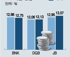 바젤Ⅲ에 내부등급법까지…지방금융지주 BIS에 날개