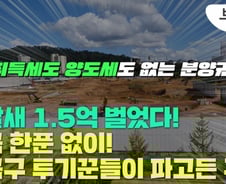 "한달새 1억 벌어도 세금 없어" 부동산 꾼들이 노린 빈틈 [부릿지]