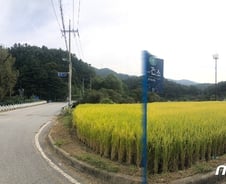 [르포]복놀이 집단감염 양평 숲속마을…"이번엔 오지마라 했어"   