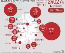 [사진] [그래픽] 코로나19 확진자 지역별 현황(3일)