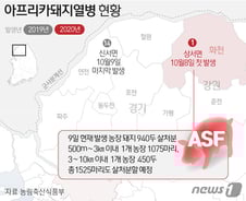 [사진] [그래픽] 1년 만에 양돈농장 아프리카돼지열병 발생