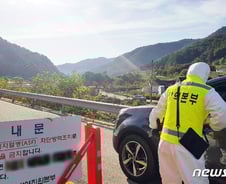 [르포] 강원 첫 돼지열병 발생…“감염 멧돼지 나올 때부터 불안”