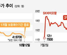 의무보유 끝난 기관, 카카오게임즈 100만주 던졌다