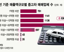 "소비자 피해 늘어 난다"…중고차업계, 대기업 진출 반대 진짜 이유