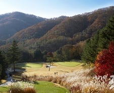 [단독]"뉴서울CC, 특별회원 8人으로 매년 10억 손실"