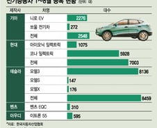 독이 된 전기차 보조금…'사람들, 테슬라 사더라'