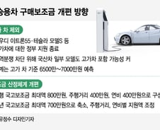 전기차 보조금, 단순히 '비싼차' 뺀다고 테슬라 추월 못한다