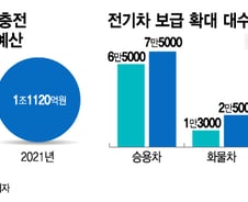 포터·봉고 EV는 벌써 인기…내년 '전기차 대중화' 예산 1兆