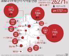 [사진] [그래픽] 코로나19 확진자 지역별 현황(29일)