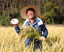 트럭에 실려온 벼, 때 빼고 광내고…햇반, 밥맛 비밀 '이곳'부터 시작된다