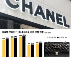 [단독]샤넬백 또 올랐다…클래식백 1000만원 고지 돌파