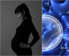 [팩트체크]정자 기증 통해 비혼모된 사유리, 한국에선 불법?