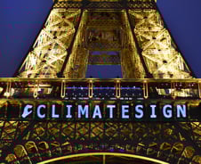 "그린스완 봉쇄"…금융권, 석탄과 '거리두기'