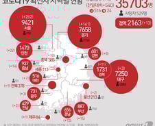 [사진] [그래픽] 코로나19 확진자 지역별 현황(3일)