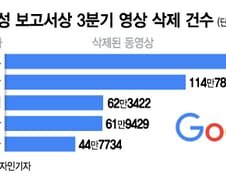 '무법천지' 유튜버 막을방법 없나..."유튜브가 먼저 나서야"