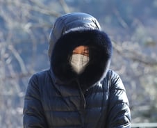 [사진] [단독]정인이 묘소 찾은 배우 이영애