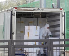 [단독]'일시 석방' 확진자 100명 넘자…추미애, 진천 연수원 수용 지시