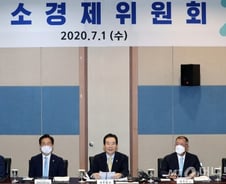 [단독]산업부, 수소경제위 실무추진단 꾸린다…'수소국' 신설 무게