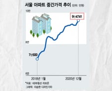 '줍줍' 당첨만 되면 돈 대주는 부동산이 있다(?)[부릿지]