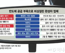 '와이어링' 예방주사 효과?…'車반도체 대란' 비껴간 현대차