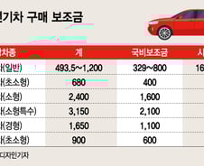 [단독]서울서 전기차 사고 지방 이사해도 보조금 환수 안한다