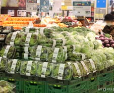 어쩐지 파 한단이 1만원이더라