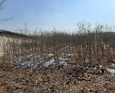 [르포] LH 직원이 산 땅은 달랐다, 직접 가보니 "이건 투기"