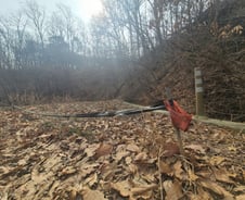 [단독]與 국회의원 어머니도 광명 땅 매입.."처분하겠다"