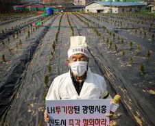 [단독]LH 직원들이 사랑한 '농지' 주인 누군가보니…"30%가 외지인"