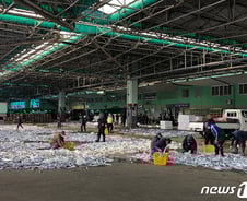[르포] 집단감염 부산어시장 경매 소리 '뚝'…"예민해져 험한 말도"