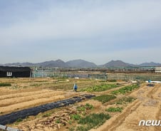 [르포] 투기 의혹 부산 대저 지구…토지 규제로 분위기 '한산'