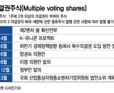 "제2벤처붐 꺼질라"···또 미뤄진 창업가의 방패 '슈퍼주식'