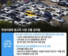 [단독]현대차 10년간 중고차 시장 진출금지法 나온다
