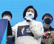 [팩트체크]與, 화교 표심에 호소…중국인이 서울시장에 투표한다?