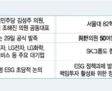 [단독]국회 ESG 포럼에 삼성·현대차·LG 참여…4대 그룹 합류할 듯