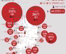 [사진] [그래픽] 코로나19 확진자 지역별 현황(30일)