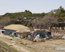 [르포]전동카트 기승·불법 증개축…세계문화유산 하회마을이 '신음'