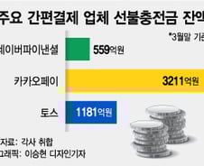 [단독]"2조원 선불 충전금 안전한가" 카카오페이 등 전수점검