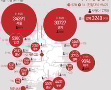 [사진] [그래픽] 코로나19 확진자 지역별 현황(13일)